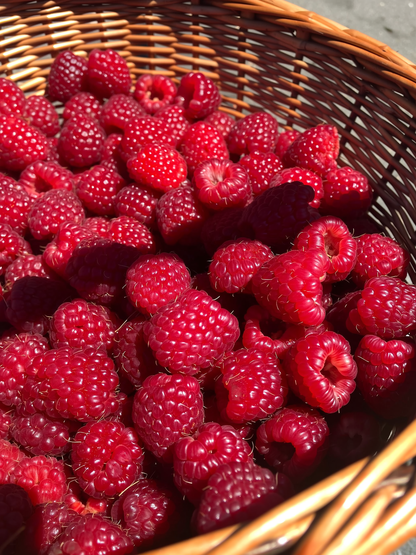 Sachets d'électrolytes